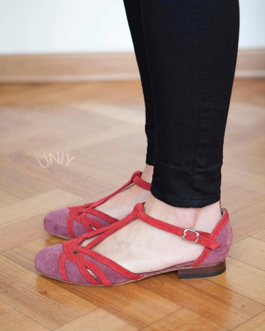 Color Block Faux Suede Pointed Toe Stylish T-Strap Flats